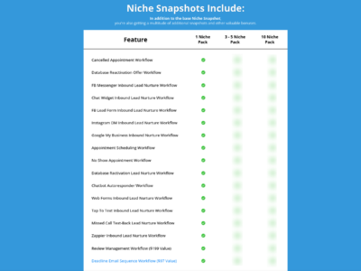 Launch a Client-Ready GoHighLevel System with Niche Snapshots