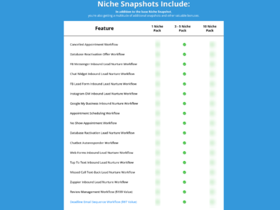 Scale a Multi-Client GoHighLevel System with Advanced Niche Snapshots